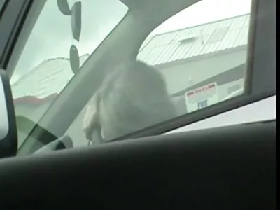 Fotos do vídeo dela (Ava Addams, porno gratis brasileiro caseiro Tyler Nixon)