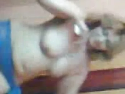 Vídeo de pornos brasileiros caseiros Sucky Sucky 5 $ (Kaiya Lynn)