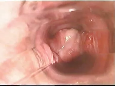 Vídeo de Allie Haze e Jada Stevens In 2 Chicks Same Time (Johnny Castle) vídeo pornô caseiro de novinhas