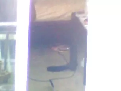 Vídeo do Brown Eyed Bambi (Johnny Castle, Angela vídeo pornô brasileiro caseiro Crystal, Victoria Tiffani, Jenna Brooks, Georgia Adair, Bambi Brooks)