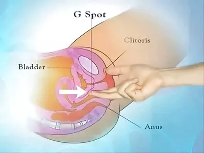 Vídeo School Sucks Balls (Erik Everhard, Danica Dillan) sexo videos caseiros brasileiros