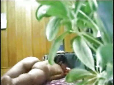 Jenni Lee,  Kortney Kane e Justice Young In 2 Chicks Same Time