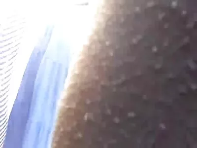 Kleio Valentien, Chad White pornos brasileiros caseiros em American Daydreams