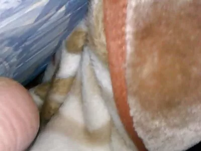 Vídeo Aching For Anal (Bill Bailey, video caseiro brasileiro de sexo Diamond Jackson, Simone Sonay)